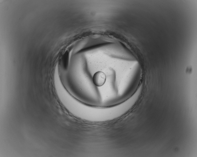 X0000113201445200909241346