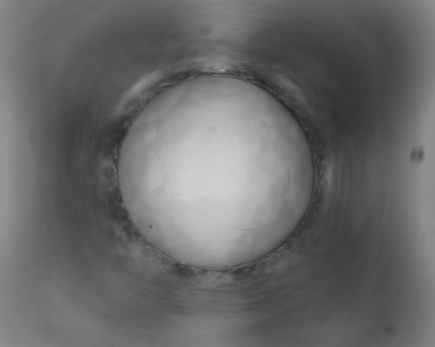 X0000113201446200909241346