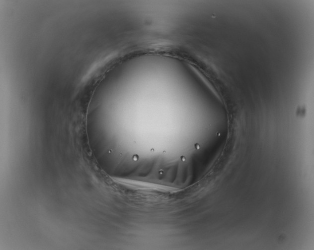 X0000113201447200909241346