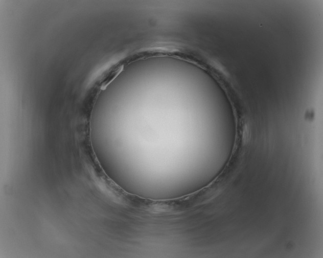 X0000113201448200909241346