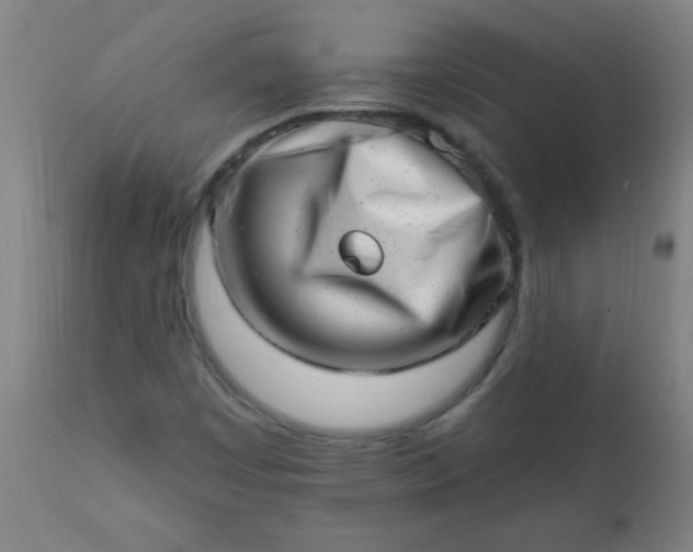 X0000113201449200909241346