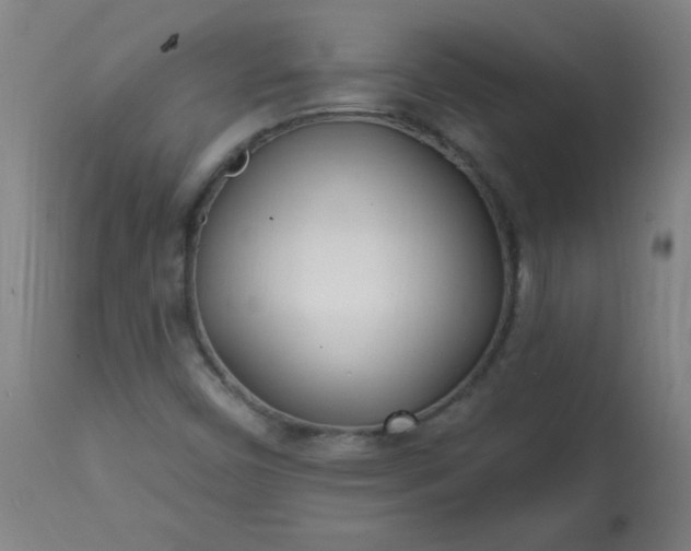 X0000113201450200909241346