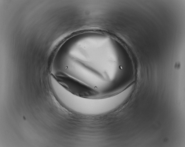 X0000113201452200909241346