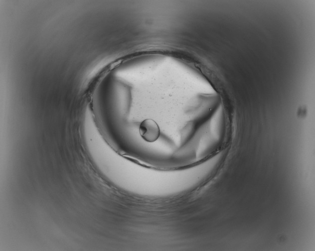 X0000113201453200909241346