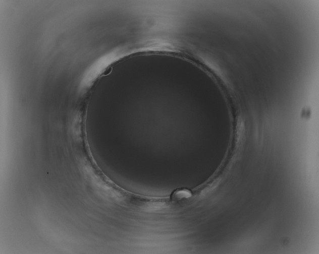 X0000113201455200909241346