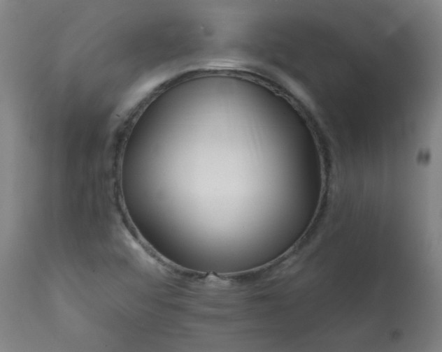 X0000113201456200909241346