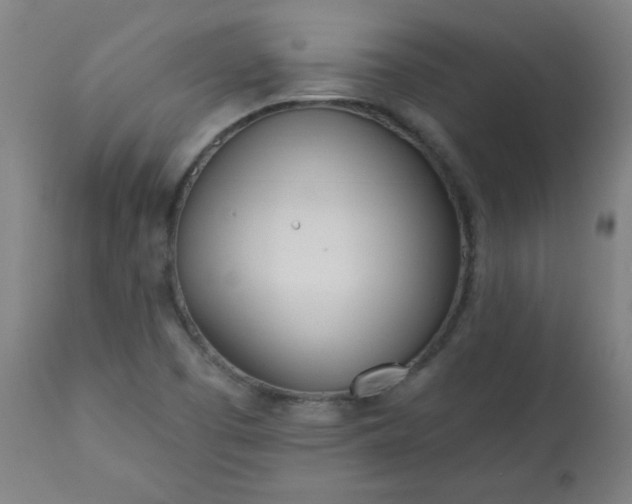 X0000113201457200909241346