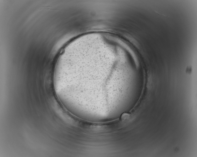 X0000113201458200909241346