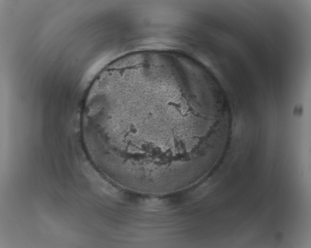 X0000113201459200909241346