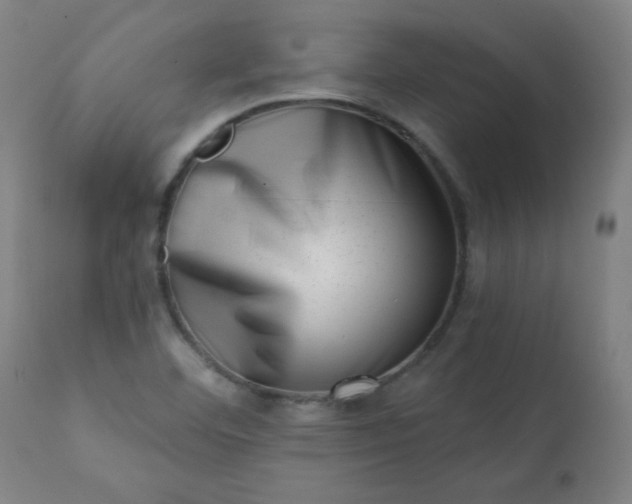 X0000113201460200909241346