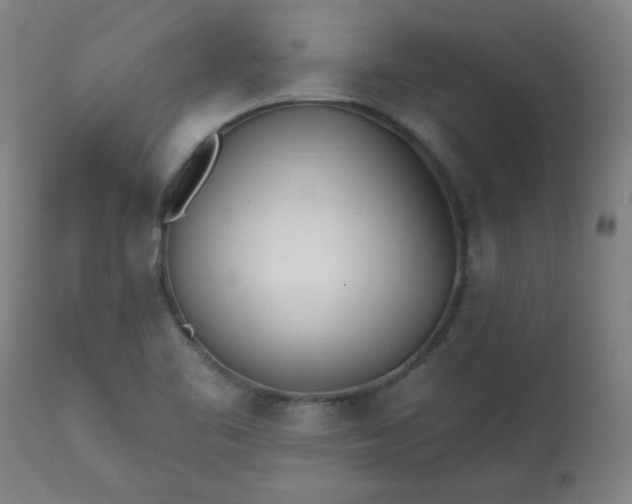 X0000113201461200909241346