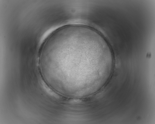 X0000113201462200909241346