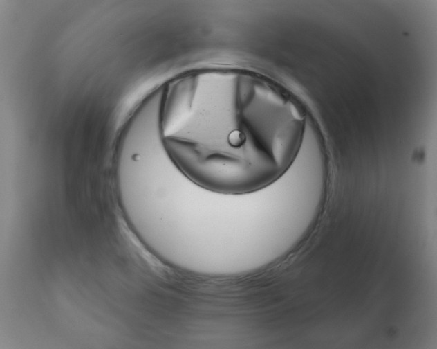 X0000113201464200909241346