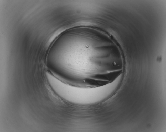 X0000113201465200909241346