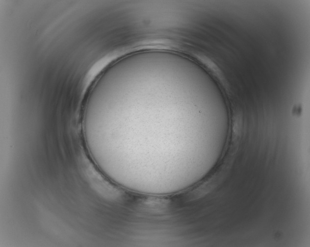 X0000113201466200909241346