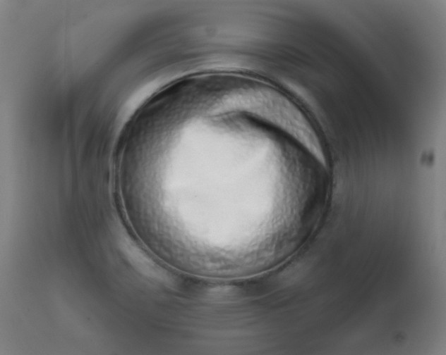 X0000113201467200909241346