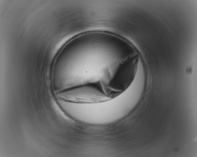 X0000113201468200909241346