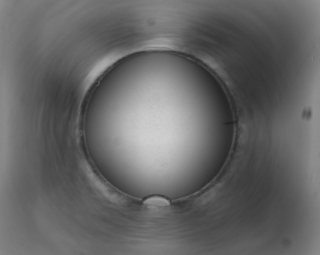 X0000113201469200909241346