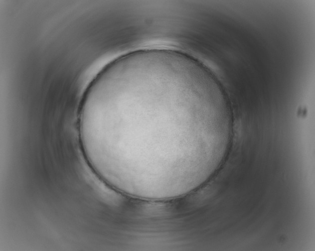 X0000113201470200909241346