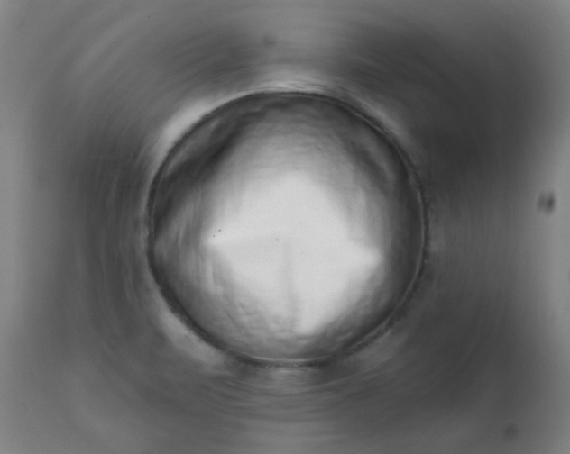 X0000113201471200909241346