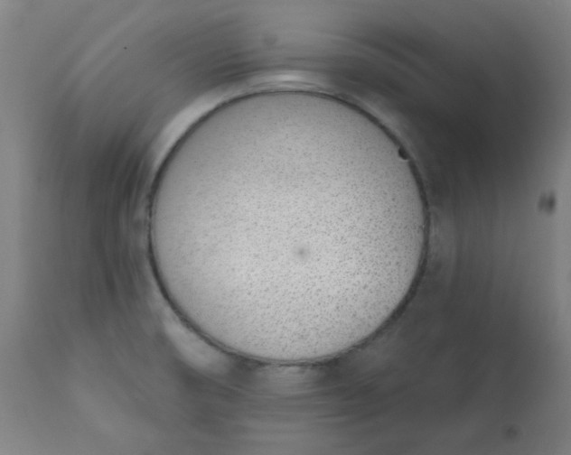 X0000113201474200909241346