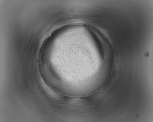 X0000113201475200909241346