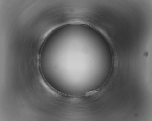 X0000113201476200909241346