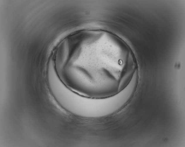 X0000113201477200909241346