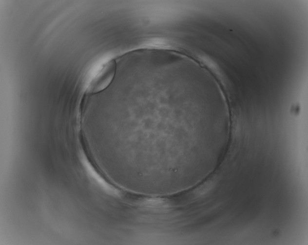 X0000113201479200909241346