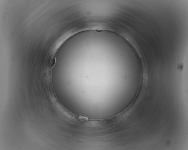 X0000113201481200909241346