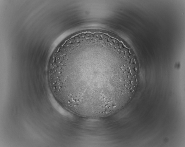 X0000113201482200909241346