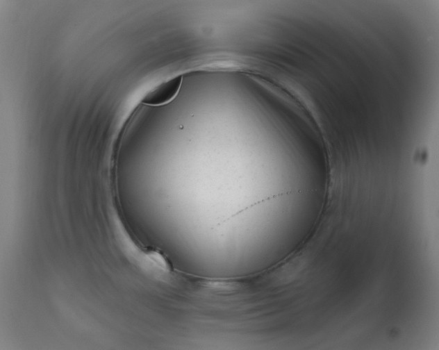 X0000113201483200909241346