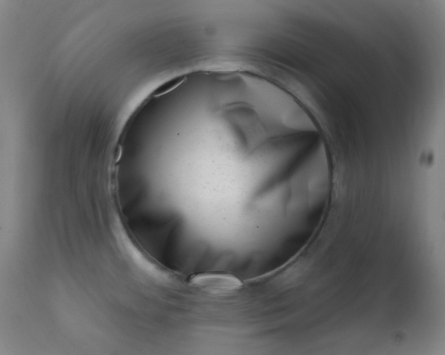 X0000113201484200909241346