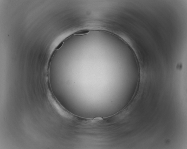 X0000113201485200909241346