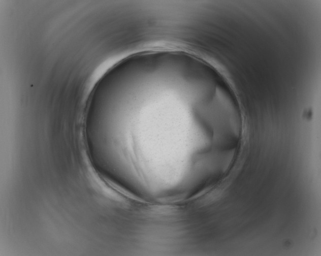 X0000113201486200909241346