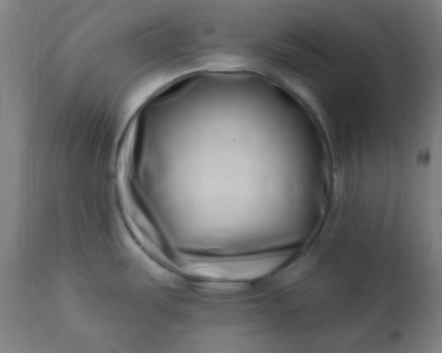 X0000113201487200909241346