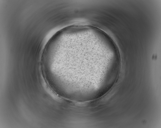 X0000113201488200909241346