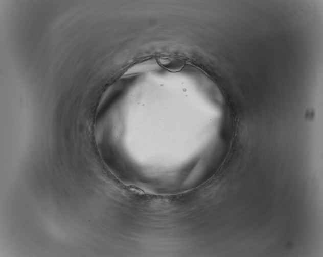 X0000113201489200909241345