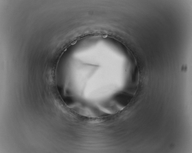 X0000113201490200909241345