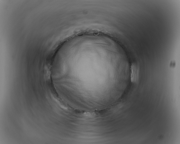 X0000113201491200909241345