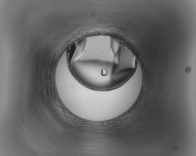 X0000113201492200909241345