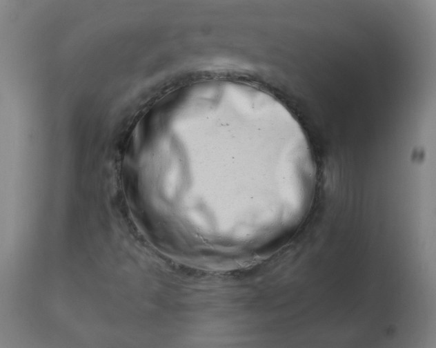 X0000113201493200909241345