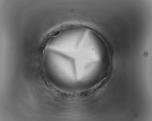 X0000113201494200909241345