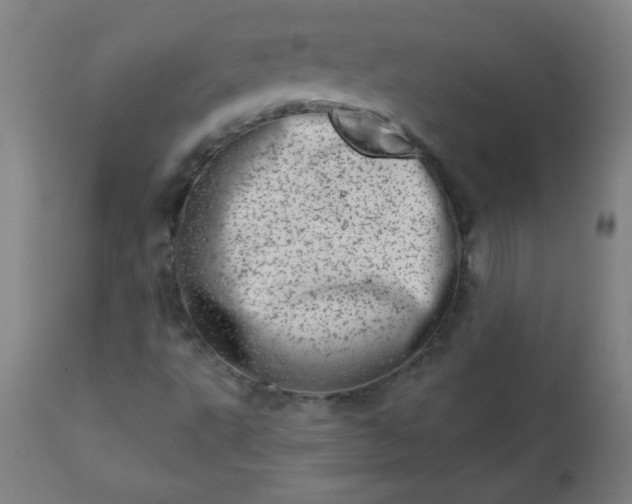 X0000113201495200909241345