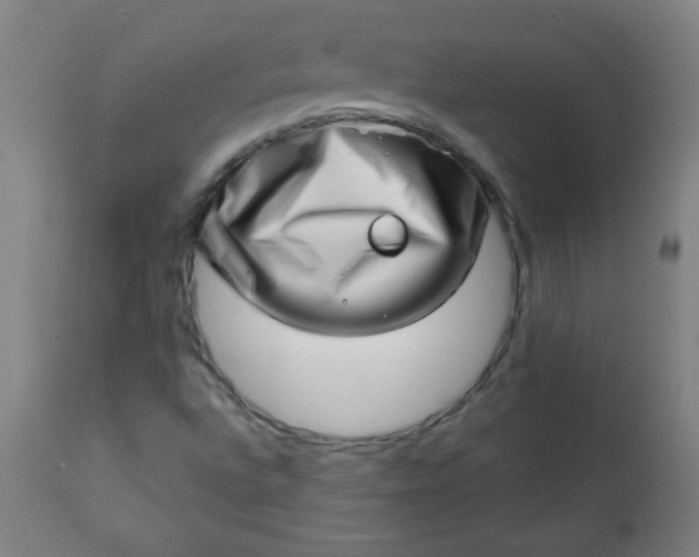 X0000113201496200909241345