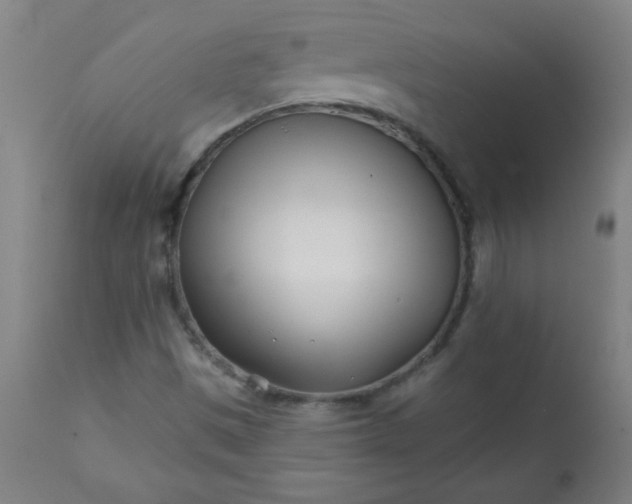 X0000113201497200909241345