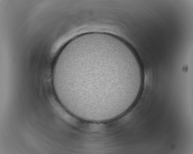 X0000113201498200909241345