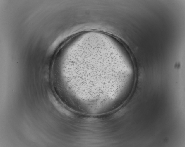 X0000113201499200909241345