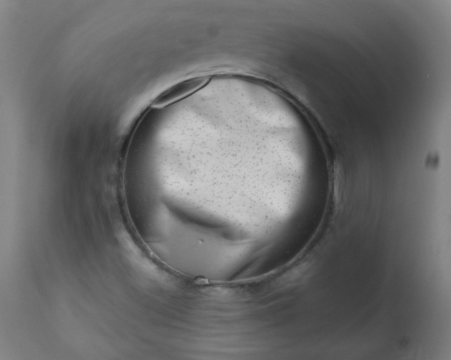 X0000113201500200909241345