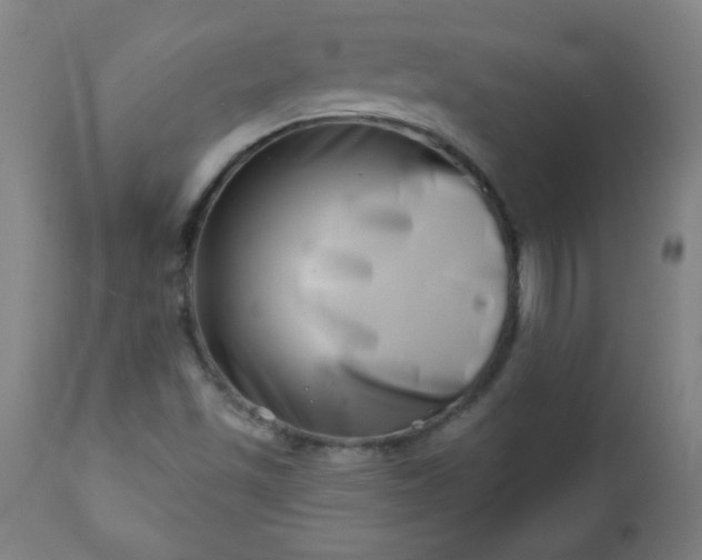 X0000113201501200909241345